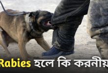 Rabies
