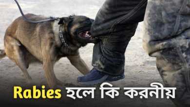 Rabies