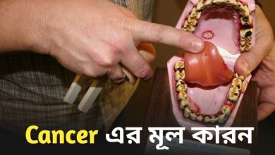 Cancer