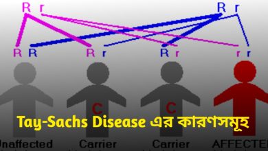 Tay-Sachs Disease